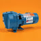 Goulds J7S Self-Priming Shallow Well Jet Pump (3/4 HP, Cast Iron, Dual Voltage 115/230V)