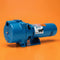 Goulds GT10 IRRI-GATOR Self Priming Centrifugal Pump (1 HP, Single Phase)